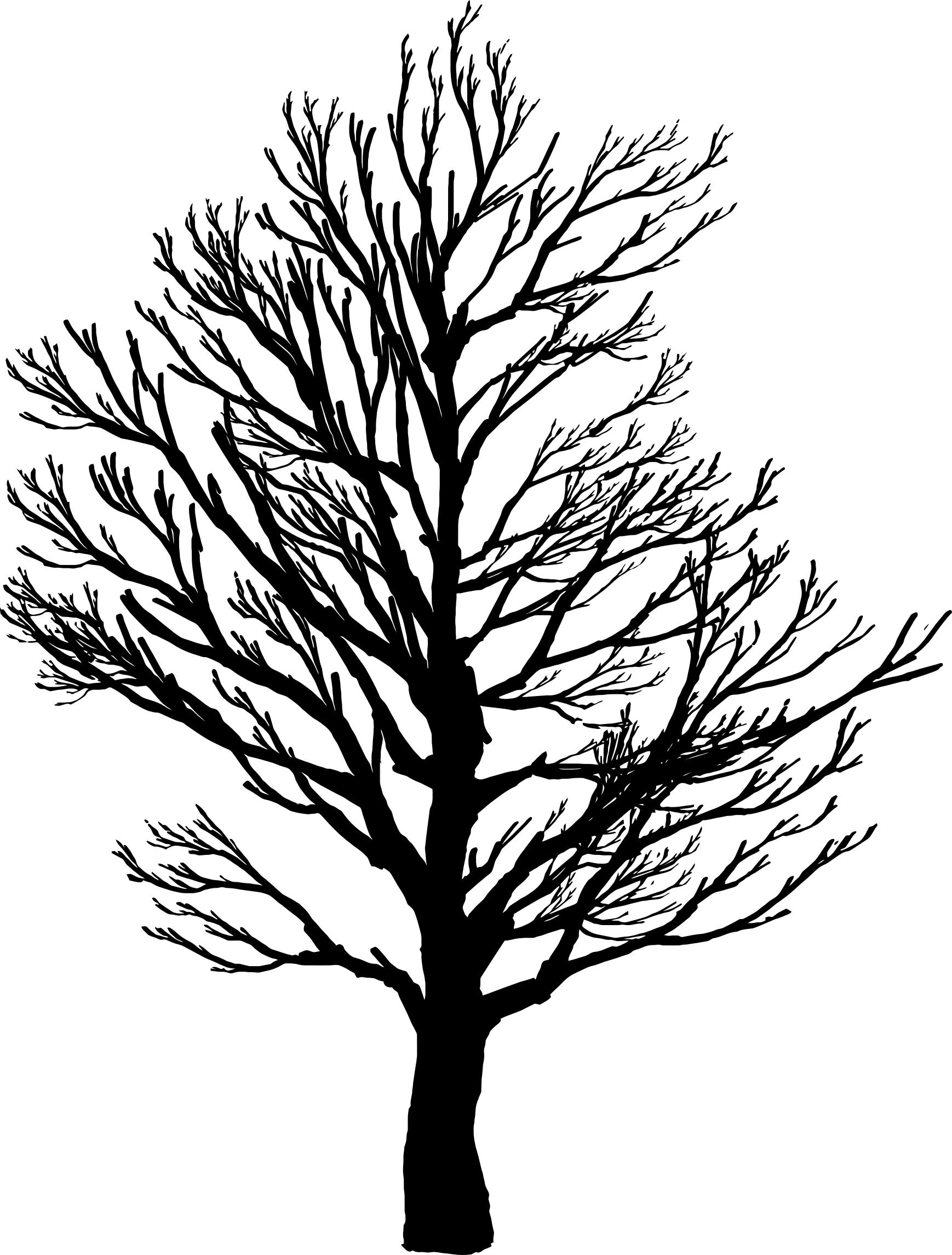 1738x2290 Barren Tree Silhouette 2 Icons Png