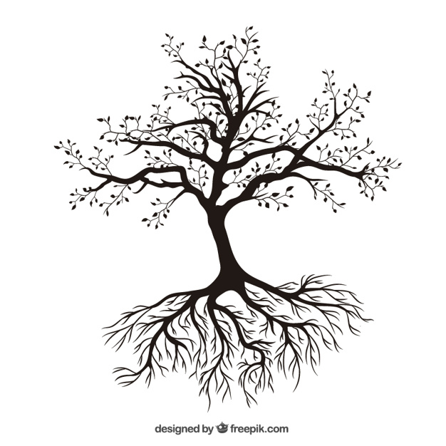 626x626 Tree With Roots Vector Free Download