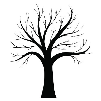 416x416 Vector Tree Silhouette Stock Vectors