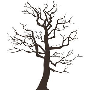 300x300 Pin By Ervin A Marika Mittelmann On Pohladnice