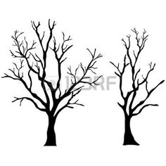 236x236 Tree Silhouettes Photo Drawings Amp Photos Tree