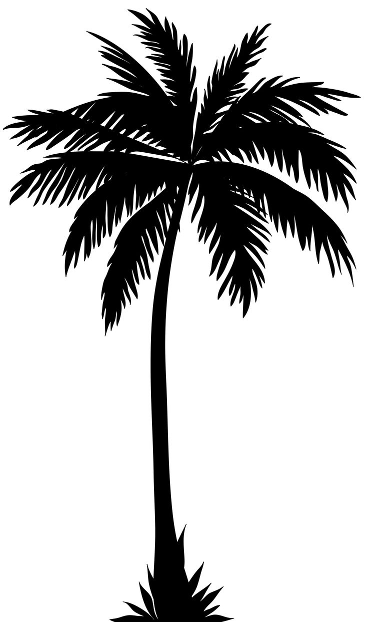 736x1242 Incridible Plam Tree From Acbaeedddcbdcf Palm Tree Silhouette Art