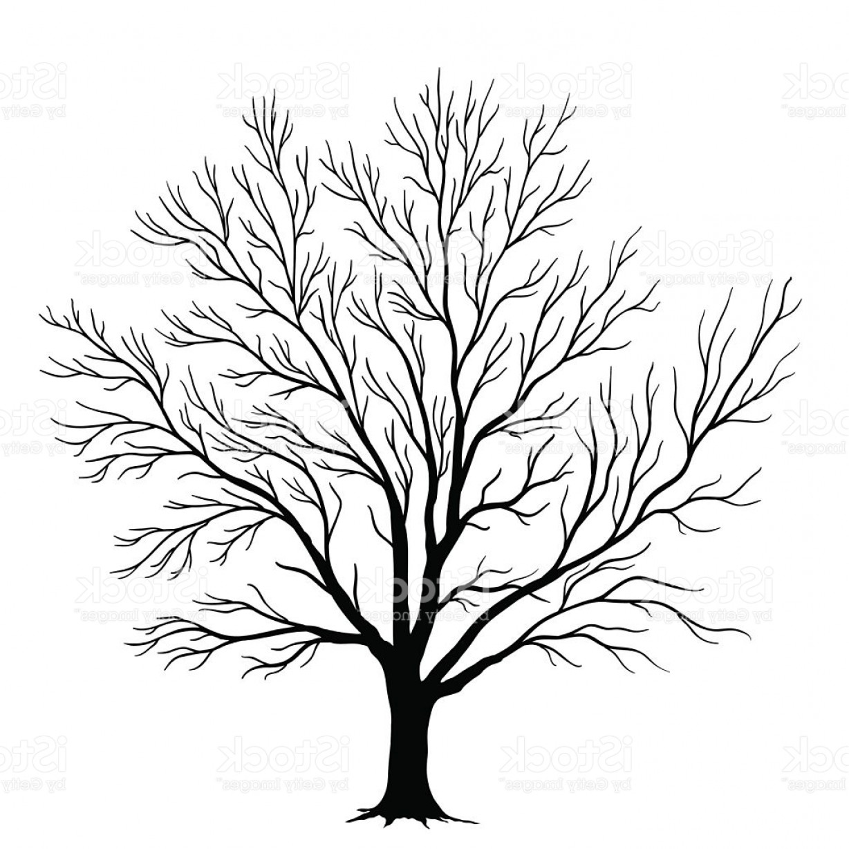 1228x1228 Silhouette Vector Tree Branch Art Shopatcloth