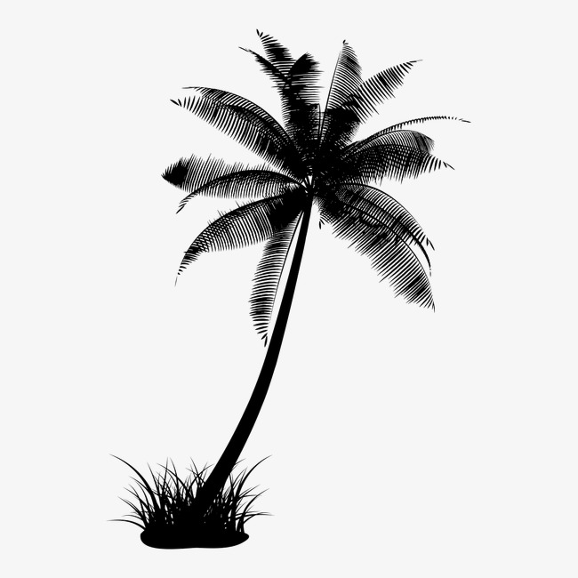 650x650 Coconut Trees Silhouette, Coco, Black And White, Sketch Png Image