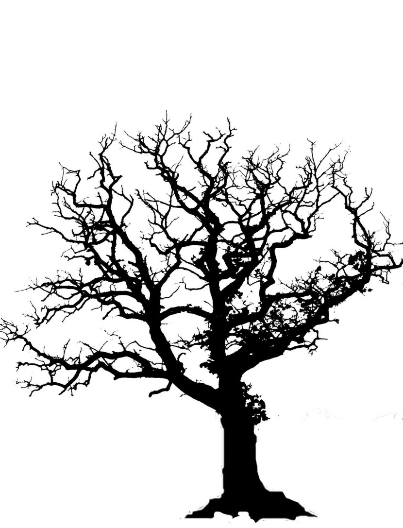 830x1087 Silhouette Of Trees Clip Art