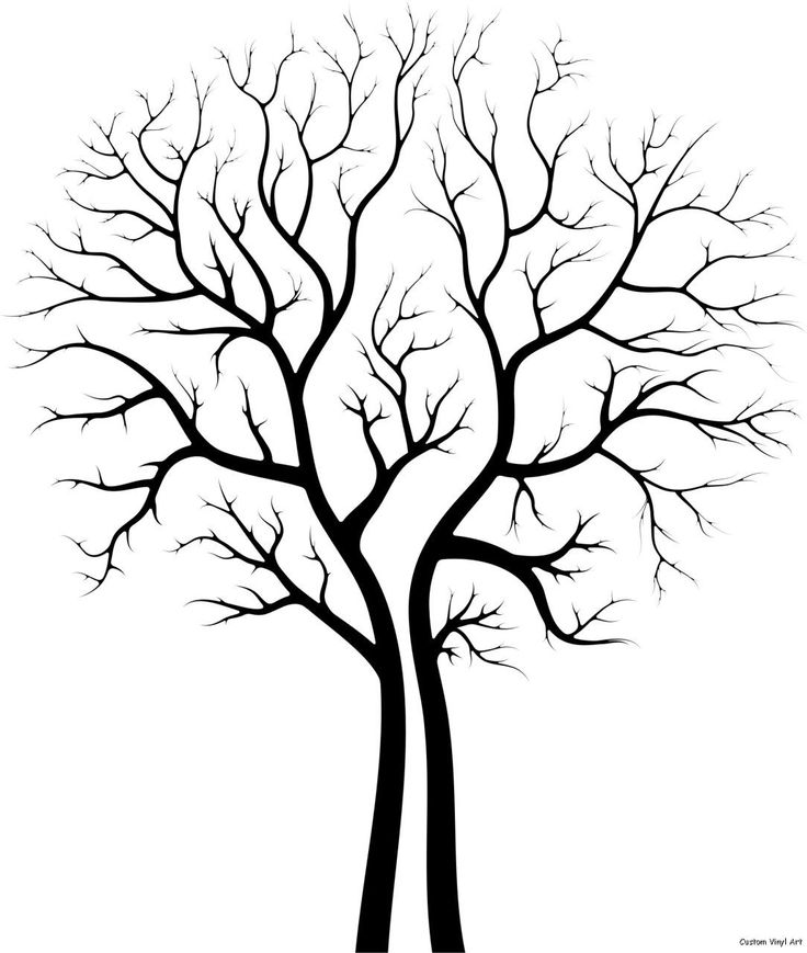 736x869 Tree Silhouette Png
