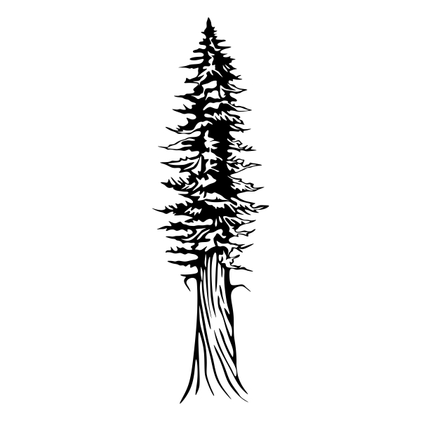 600x600 Old Tree Silhouette Cuttable Design