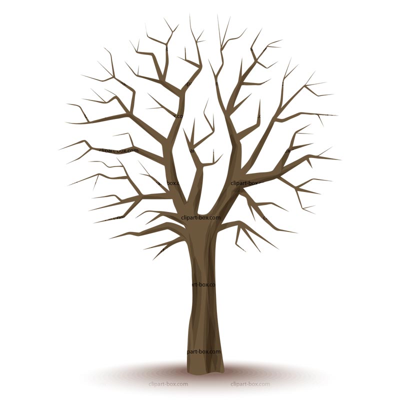800x800 Dead Tree Clipart Branchy 3218581