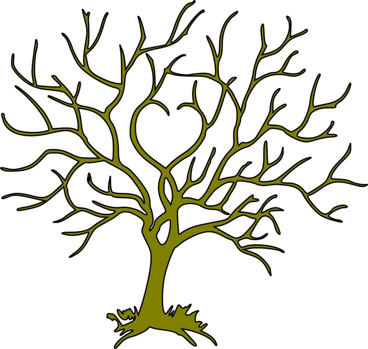 736x699 488 Best Silhouettes Tree Silhouettes Images