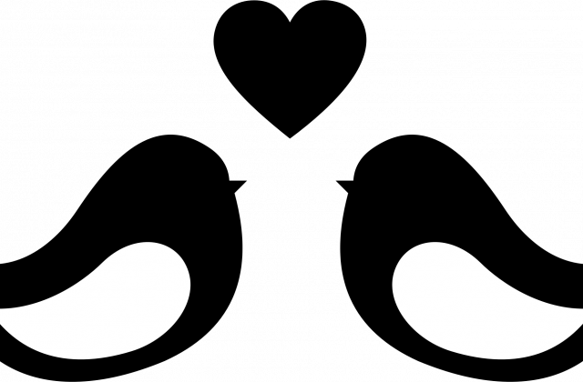 640x420 Tag For Love Bird Silhouette Tree Silhouette With Bird Flying