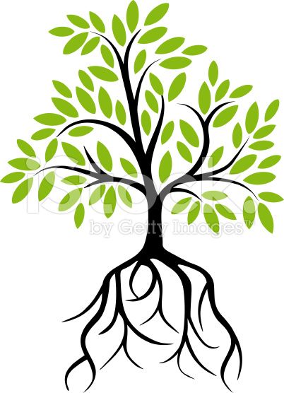 402x556 Decorative Tree With Roots Roots, Vector Art And Illustrations