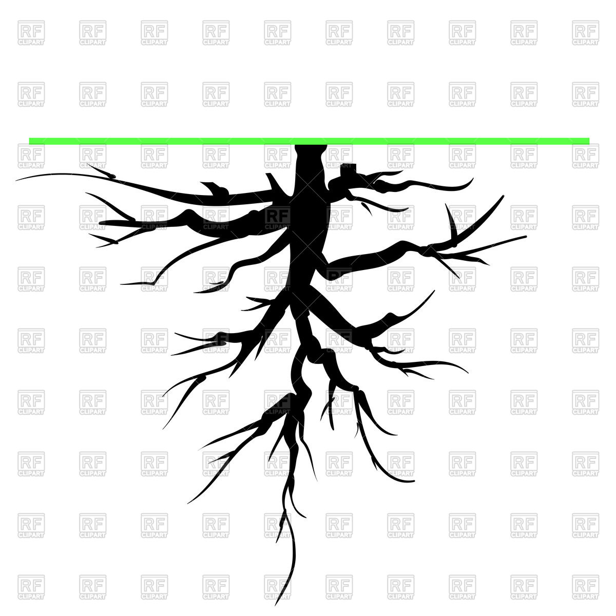 1200x1200 Old Tree Root Royalty Free Vector Clip Art Image