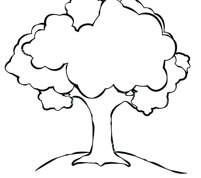 678x600 Outline Drawing Of A Tree Tree Silhouette Outline Cg Royalty Free