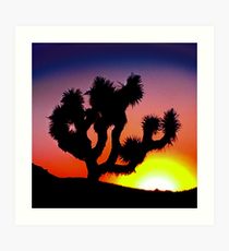 210x230 Joshua Tree Silhouette Wall Art Redbubble