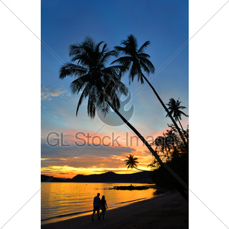 325x325 Palm Tree Silhouette Gl Stock Images