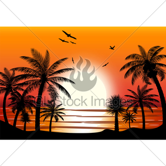 325x325 Silhouette Of Palm Tree On Beach. Gl Stock Images