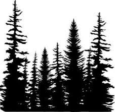 227x222 Pine Tree Forest Silhouette