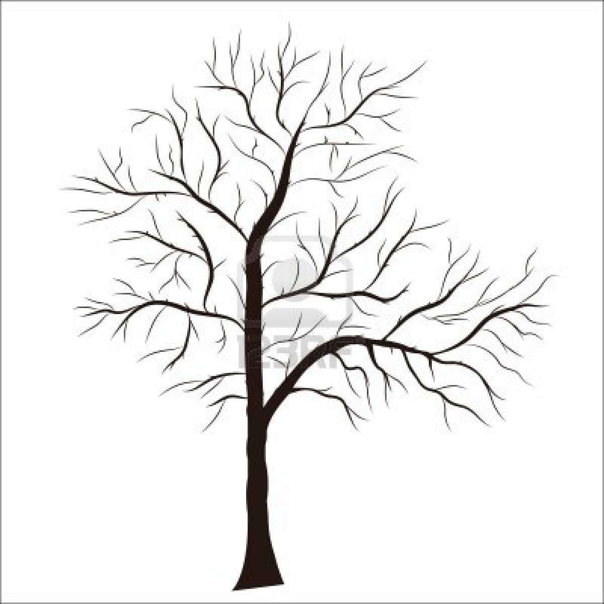 1200x1200 Tree Silhouette