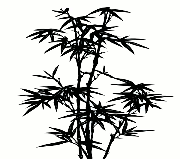 600x528 Best Bamboo Tree Tattoos Design And Ideas