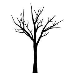 236x236 Free Tree Stencils Black Tree Clip Art