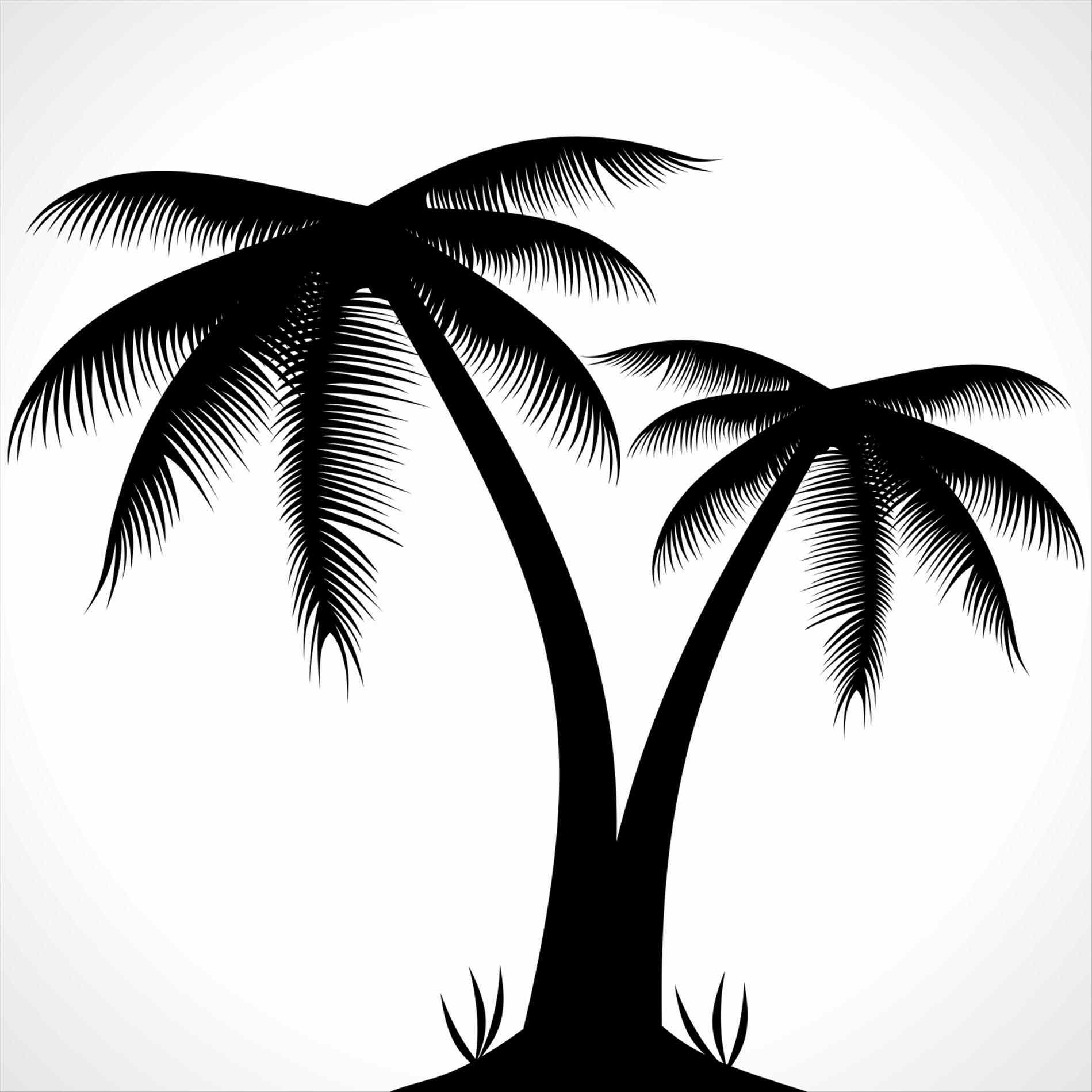 1899x1899 Interior Vectors Simple Palm Tree Silhouette Snapwitco