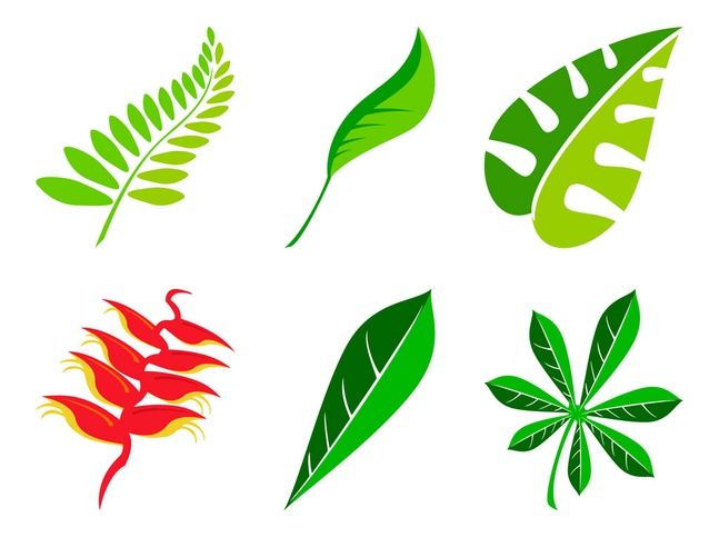 647x483 Leaves Set Vector Free Tree Silhouettes, Vectors, Clipart, Svg