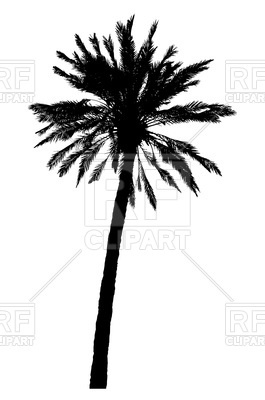 265x400 Silhouette Of Realistic Palm Tree Royalty Free Vector Clip Art