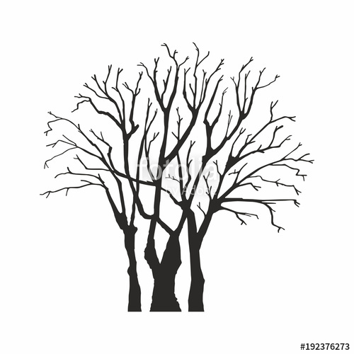 500x500 Tree Silhouette On White Background Stock Image And Royalty Free