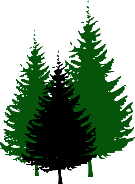 438x599 Evergreen Tree Silhouette Clip Art Free Vector For Free Download