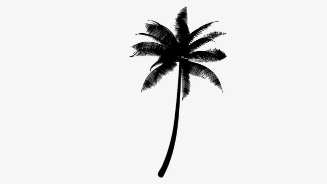 650x366 Coco, Coconut Tree Silhouette, Tree Png And Vector For Free Download