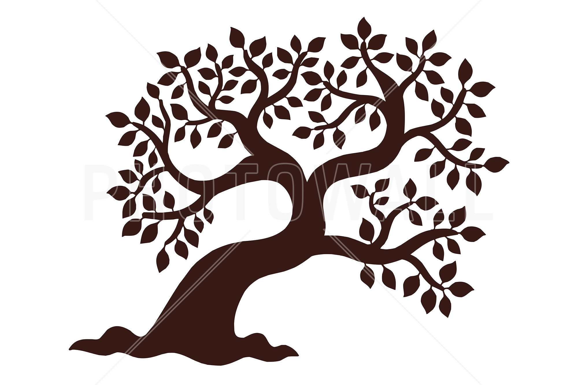 2000x1333 Leafy Tree Silhouette