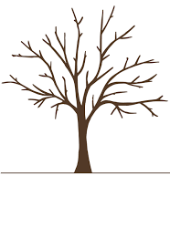 186x271 Resultado De Imagen Para Como Dibujar Hojas De Arboles Ideas