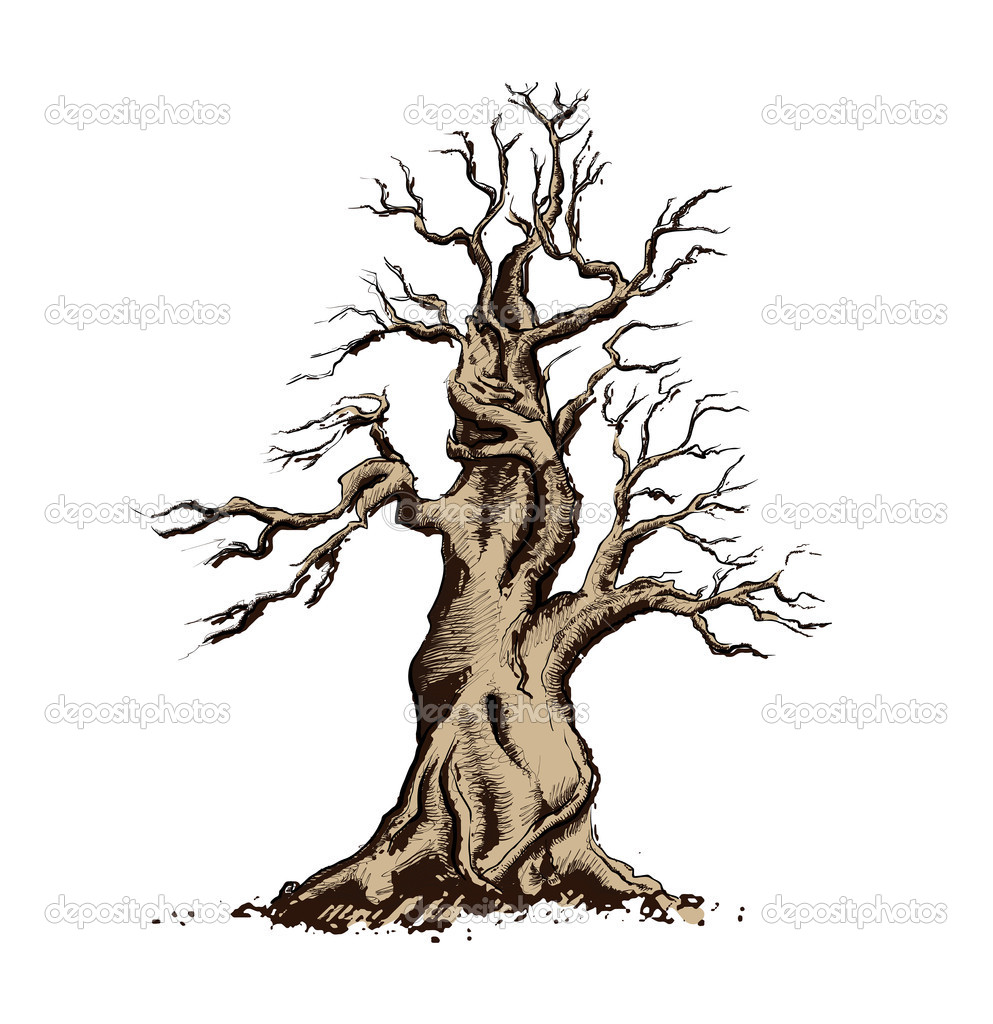 993x1024 Tree Background Wallpaper Clipart Panda