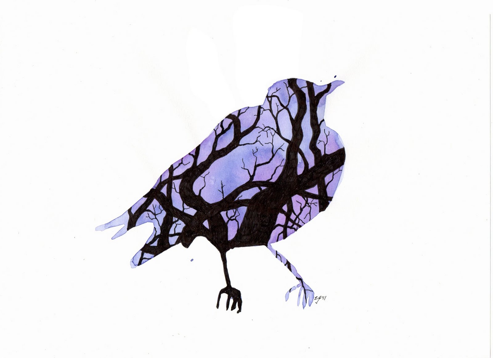 1600x1162 Silhouette With Birds