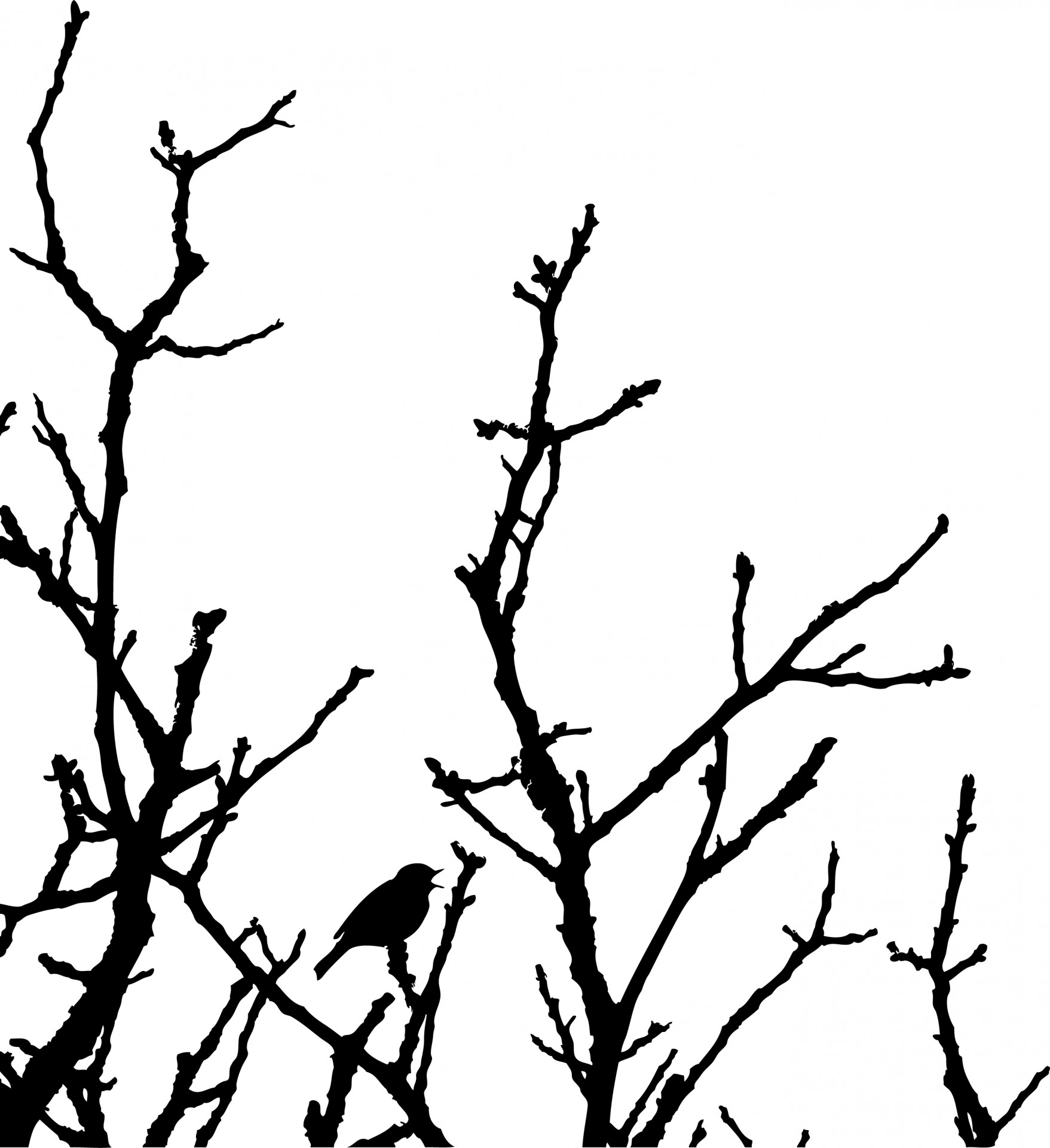 1757x1920 Bird In Tree Silhouette Free Stock Photo