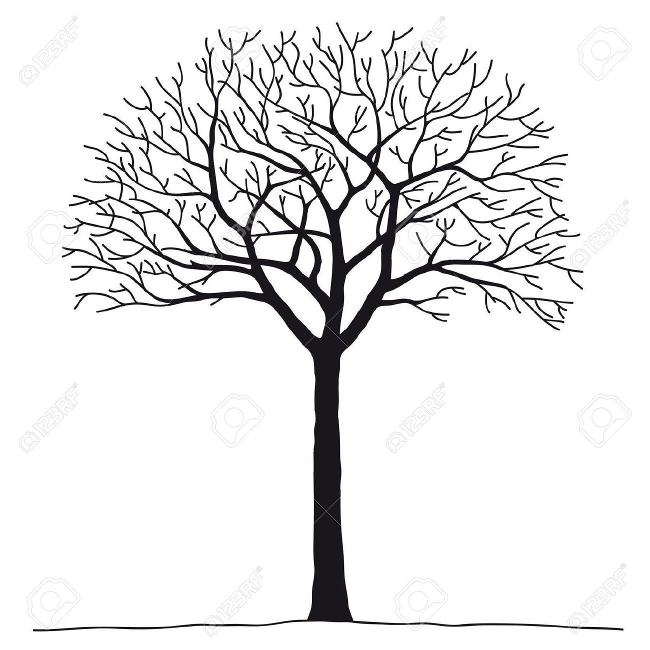 1300x1300 Hd Best Bare Tree Stock Vector Silhouette Design Image