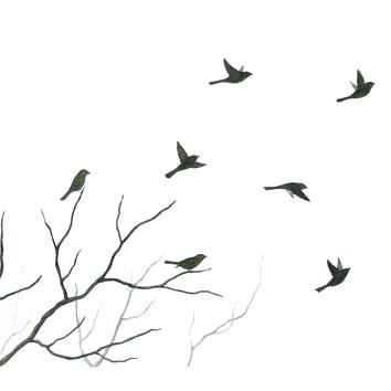 354x354 Bird On Branch Silhouette Also Original Bird Painting Watercolor