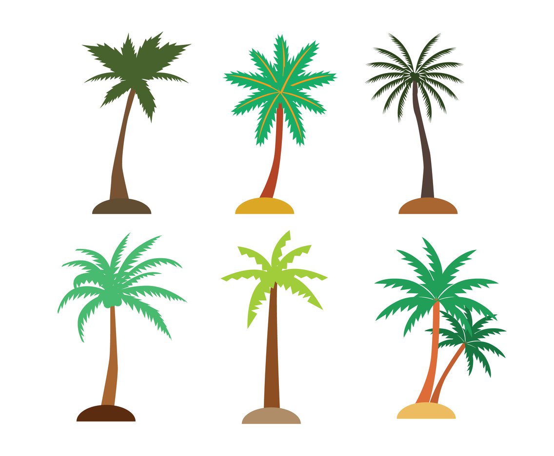 1136x936 Palm Tree Silhouette Vector Art Amp Graphics
