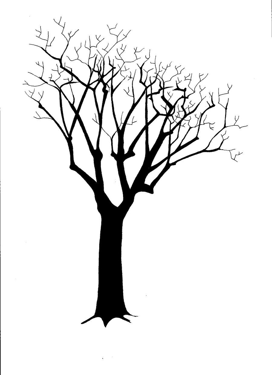 900x1238 Pin By Evy Thuli On Trees Tree Silhouette
