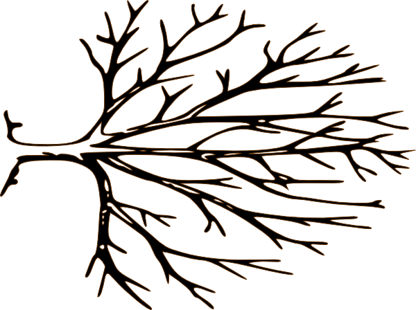 600x448 Roots Clipart Empty Tree