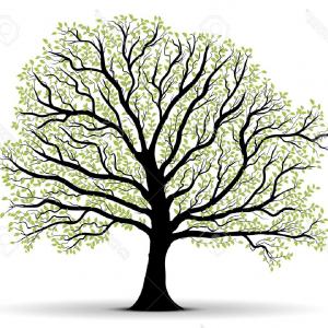 300x300 Scribble Big Simple Tree Roots Gm Arenawp