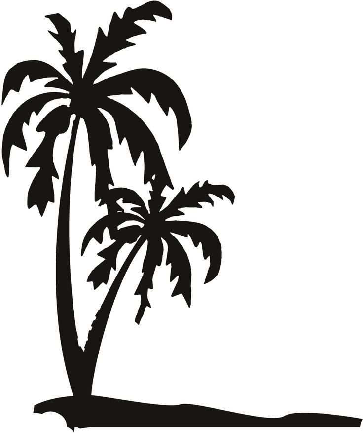 736x877 Palm Tree Silhouette