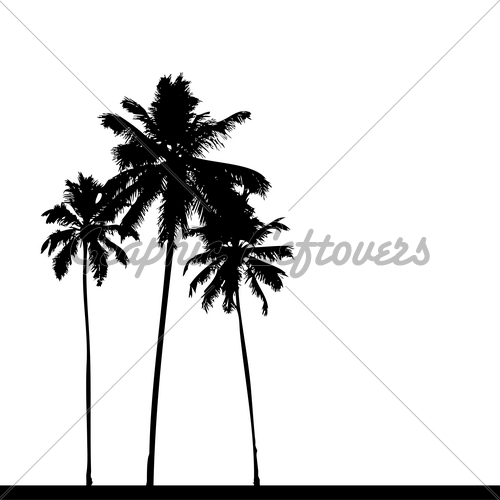500x500 Palm Tree Drawings Clip Art
