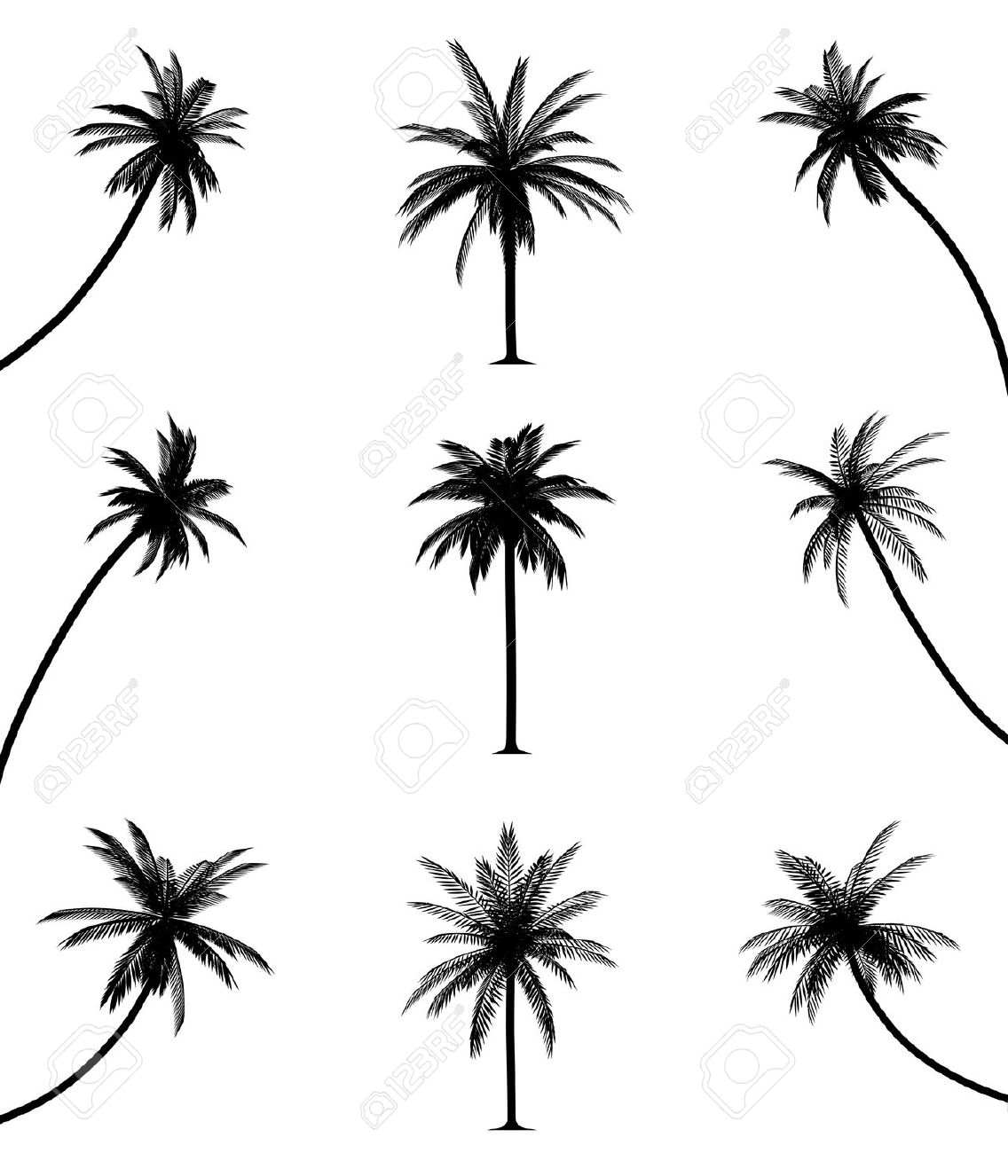 1136x1300 Palm Tree Clipart Line Drawing
