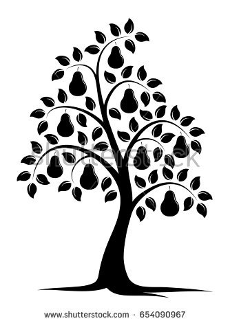 334x470 Pear Tree Clipart Black And White