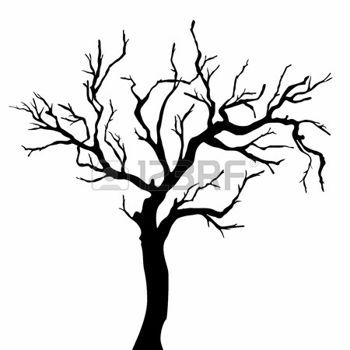 350x350 Tree Silhouettes Photo Drawings Amp Photos Tree