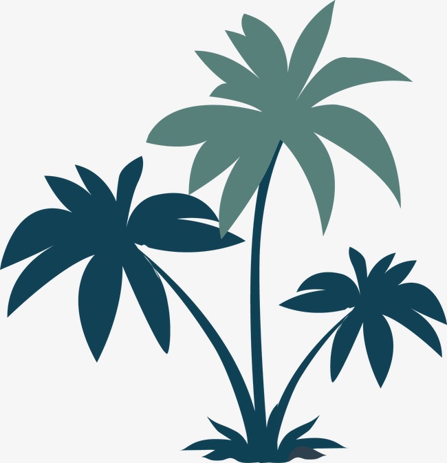 650x673 Coconut Trees Silhouette Vector, Sandy Beach, Plant, Green