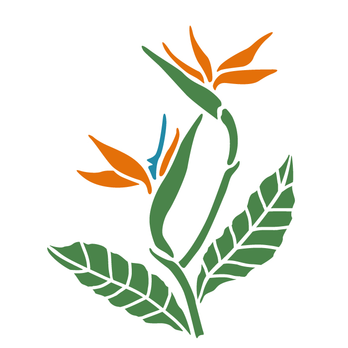 700x700 Bird Of Paradise Flower Svg, Tropical Flowers, Botanical Svg, Rose