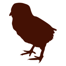 256x256 Bird Transparent Png Or Svg To Download