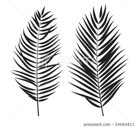 450x415 Palm Tree Leaf Silhouette Isolated On White